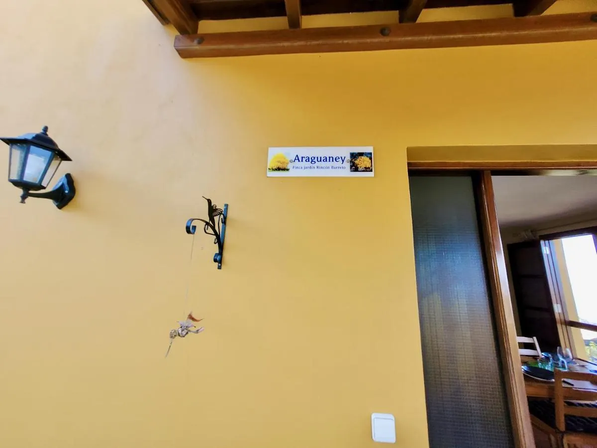 Bollullo Sunset - Araguaney Apartment La Orotava